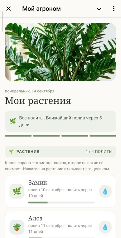 Приложение «Мой агроном»: мои растения, все политы, ближайший полив